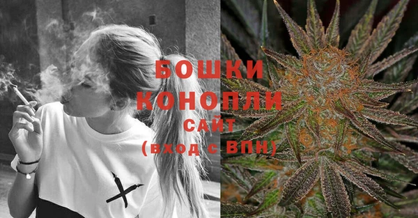 сатива Абаза