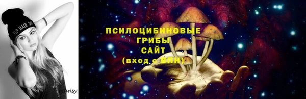 тгк Михайлов