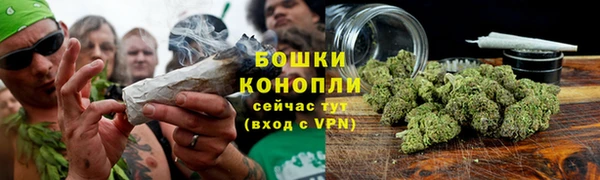 сатива Абаза